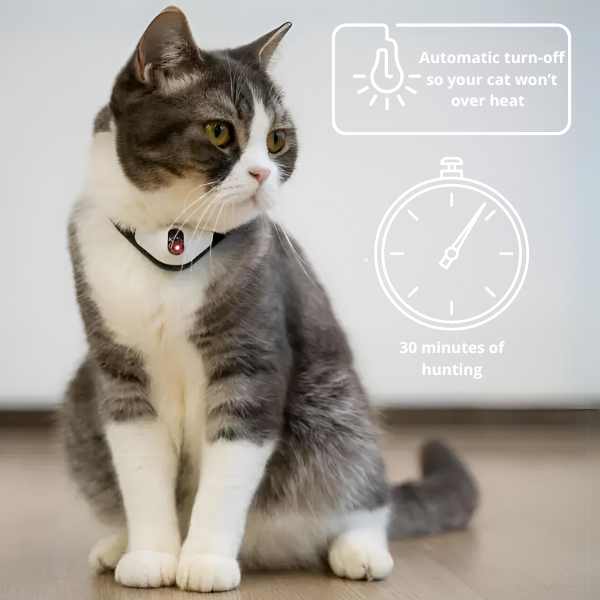 Snauff™ Smart Laser Collar